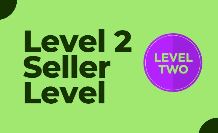 Fiverr Level 2 seller level